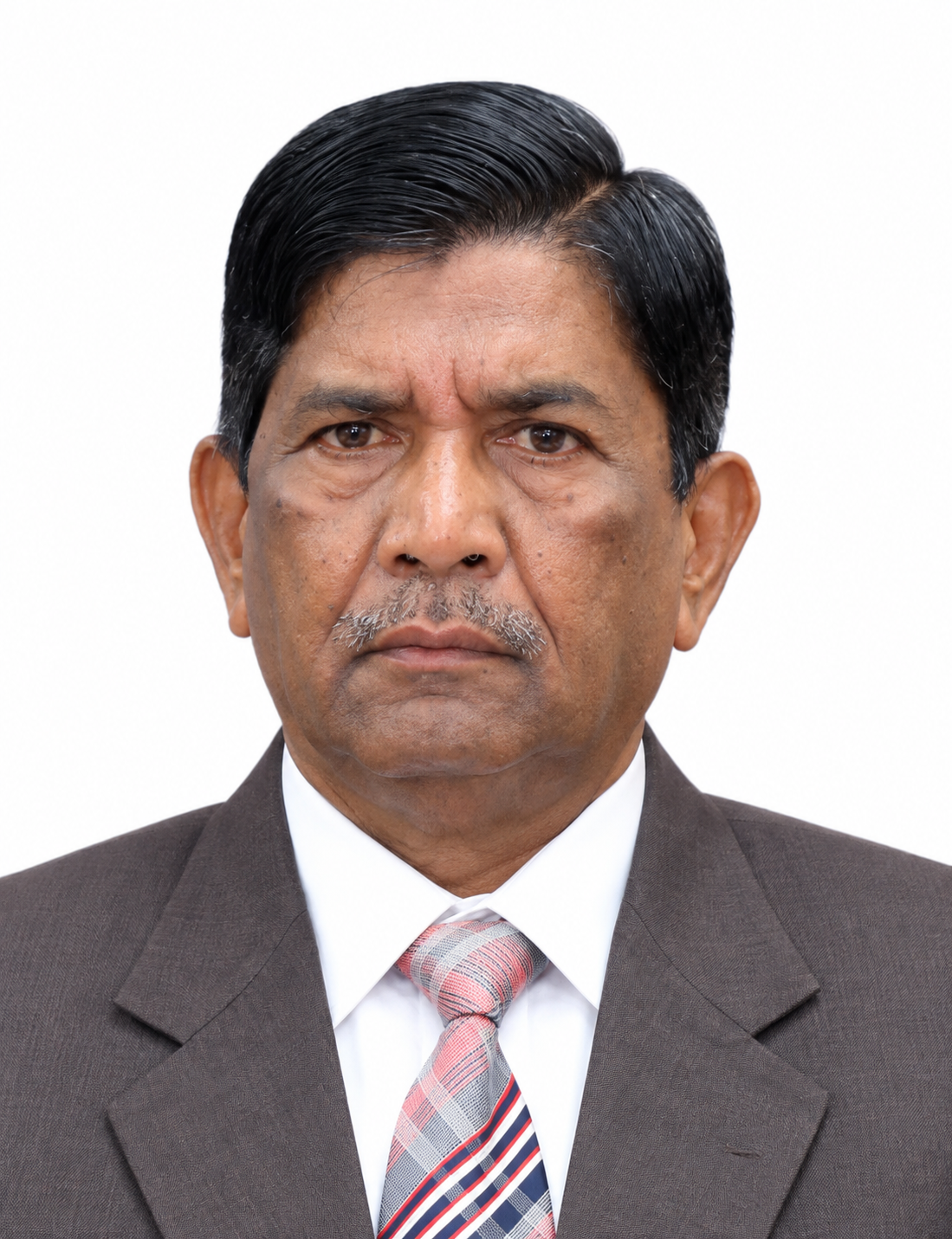 Thiru S. Sathapillai